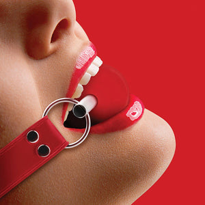 OUCH! SOLID BALL GAG – GatiTest